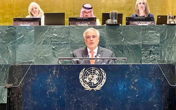 فلسطین کو مکمل رکنیت دی جائے، اقوام متحدہ کی عالمی کانفرنس میں پاکستان کا مطالبہ