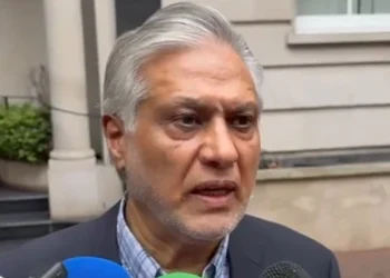 غزہ کے حوالے سے ٹرمپ کی مسلم حکمرانوں سے ملاقاتوں کا مثبت نتیجہ نکلے گا، اسحاق ڈار