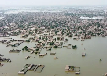 طوفانی بارشوں، دریاؤں میں طغیانی اور اربن فلڈنگ سے قصور، لڈن، کبیروالا اور گجرات شدید متاثر