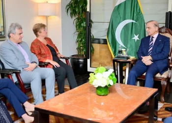 پاکستان کی معیشت پر سیلاب کے اثرات کو آئی ایم ایف جائزے میں شامل کیا جائے، وزیراعظم کا مطالبہ