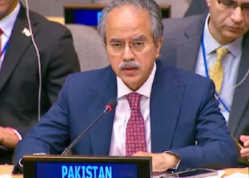 سلامتی کونسل کے اجلاس میں اسرائیلی نمائندے کے ریمارکس پر پاکستان کا کرارا جواب