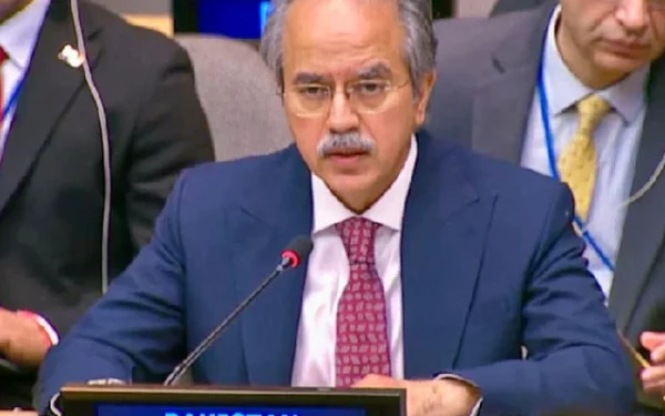 سلامتی کونسل کے اجلاس میں اسرائیلی نمائندے کے ریمارکس پر پاکستان کا کرارا جواب