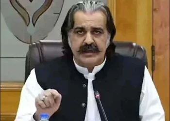 پارٹی انتشار کا شکار ہوگئی ہے، مجھ پر تنقید کرنے والے بے شرم ہیں، علی امین گنڈا پور