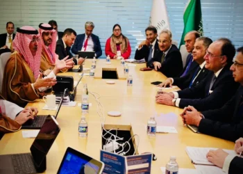 پی آئی اے اور ایئرپورٹس کی نجکاری، وزیر خزانہ نے سعودی عرب کو پیش رفت سے آگاہ کیا