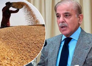 حکومت نے 2025-2026 کیلیے گندم پالیسی کی منظوری دے دی، ریٹ 3500 روپے من مقرر