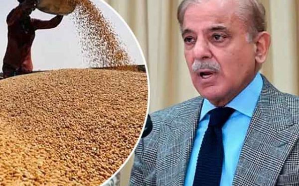 حکومت نے 2025-2026 کیلیے گندم پالیسی کی منظوری دے دی، ریٹ 3500 روپے من مقرر